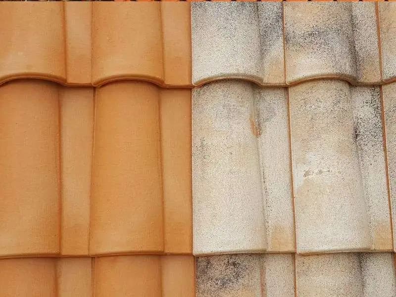 Comparaison hydrofuge incolore et coloré sur toiture