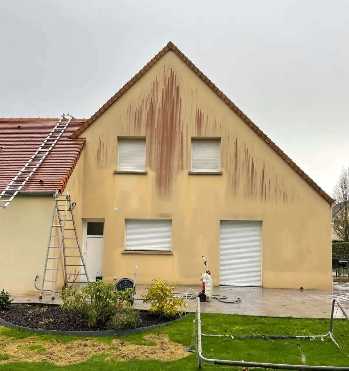 Avant nettoyage de façade à Honfleur par Normandie Nettoyage — nettoyage pignon enduit jaune – algues rouges et coulures Calvados (14600)
