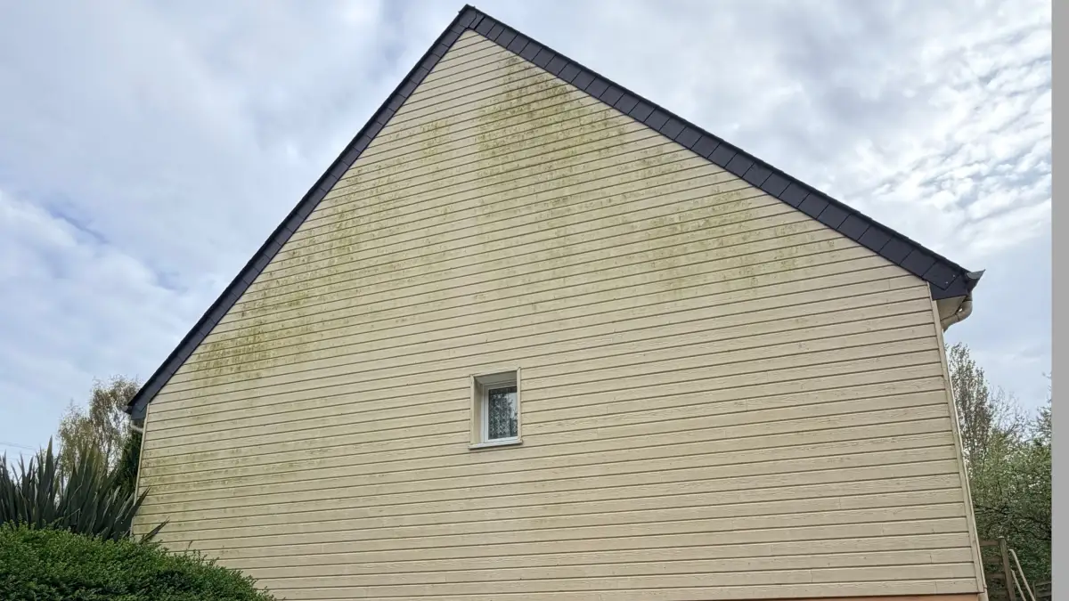 Façade verdissante avec algues vertes en Normandie