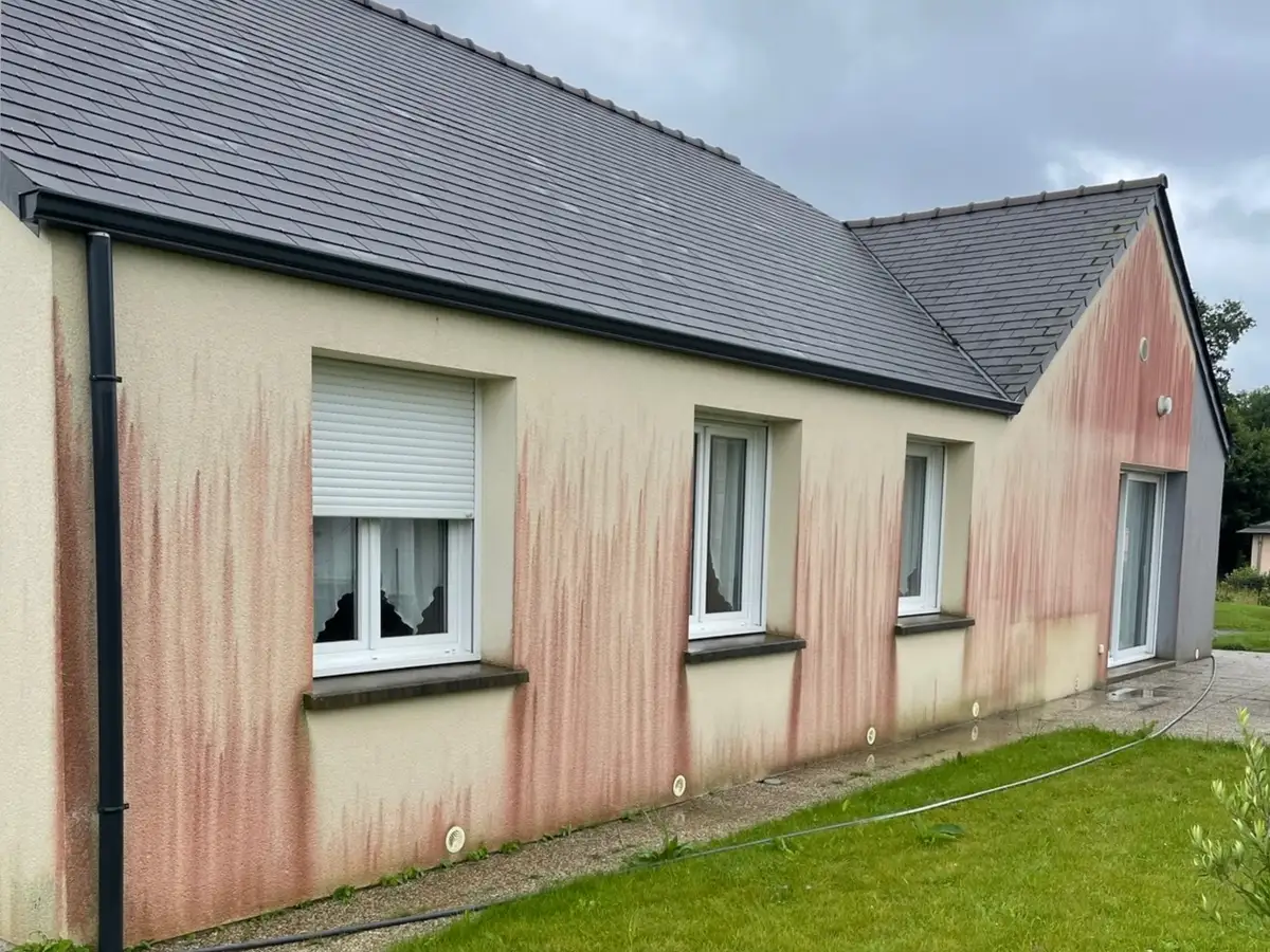 Façade enduit crème avec algues rouges avant nettoyage – Calvados (14)