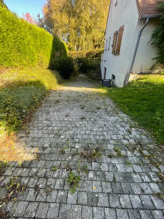 Allée en pavés avec mauvaises herbes entre les joints – Calvados