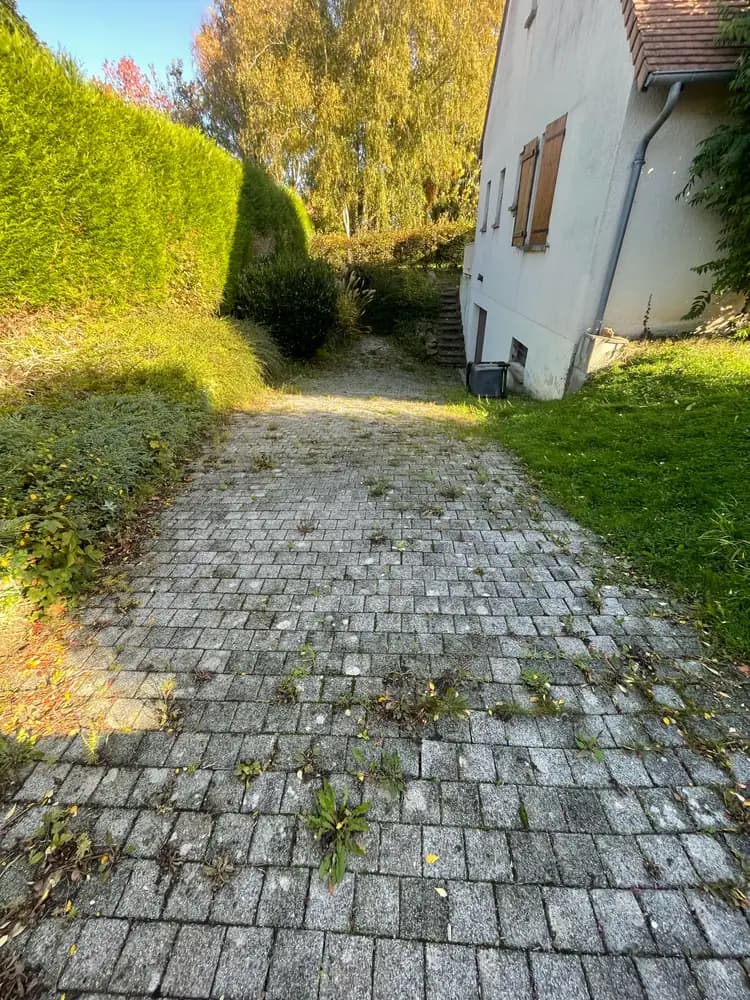 Avant nettoyage de pavés à Bayeux par Normandie Nettoyage — allée pavés gris envahie par la mousse et mauvaises herbes entre joints Calvados (14400)