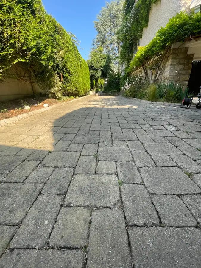 Avant nettoyage de pavés à Caen par Normandie Nettoyage — allée pavés autobloquants envahie de mousse et taches noires Calvados (14000)