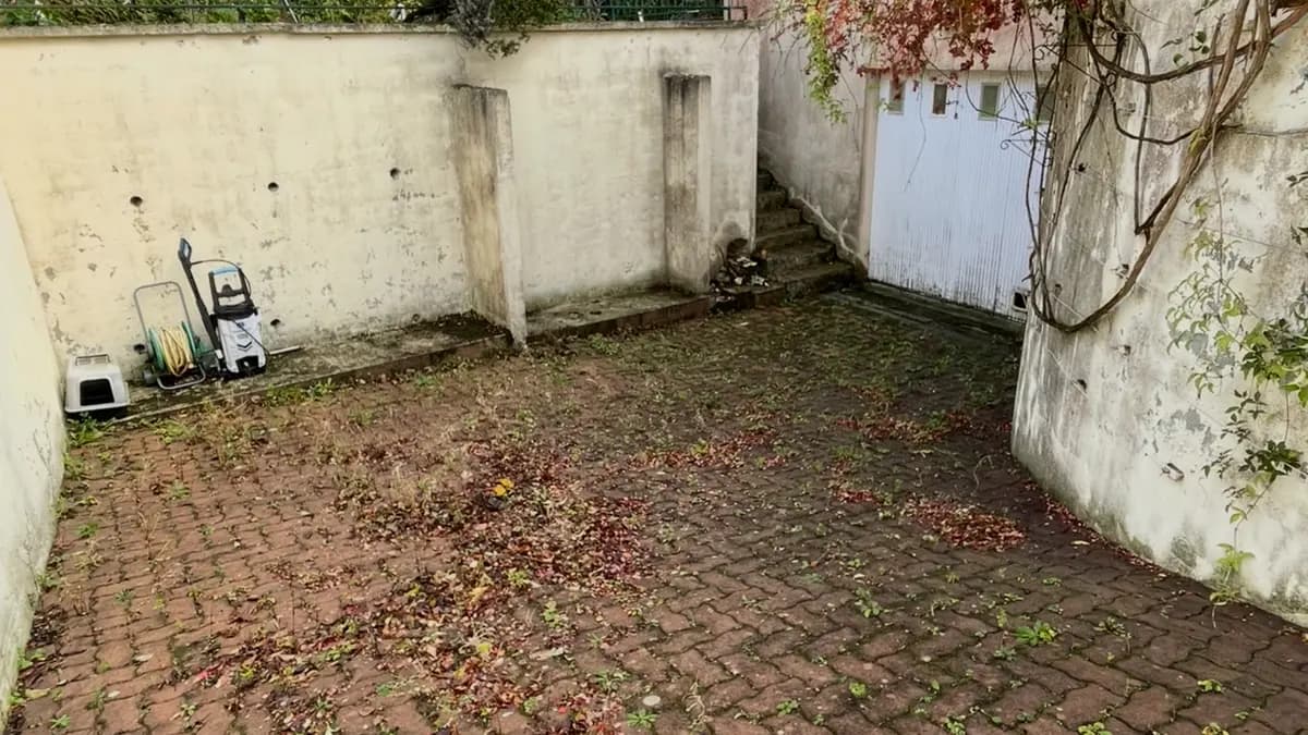 Avant nettoyage de pavés à Lisieux par Normandie Nettoyage — cour pavés rouges encrassée – mousse, feuilles mortes et verdissement Calvados (14100)