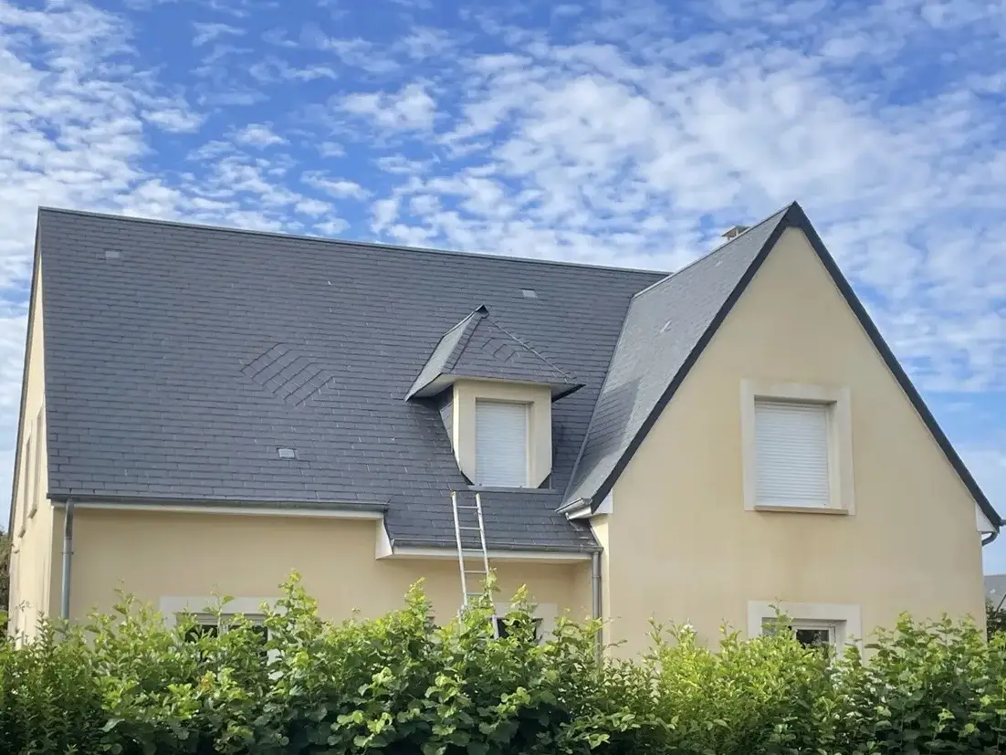 Application de traitement anti-mousse sur toiture