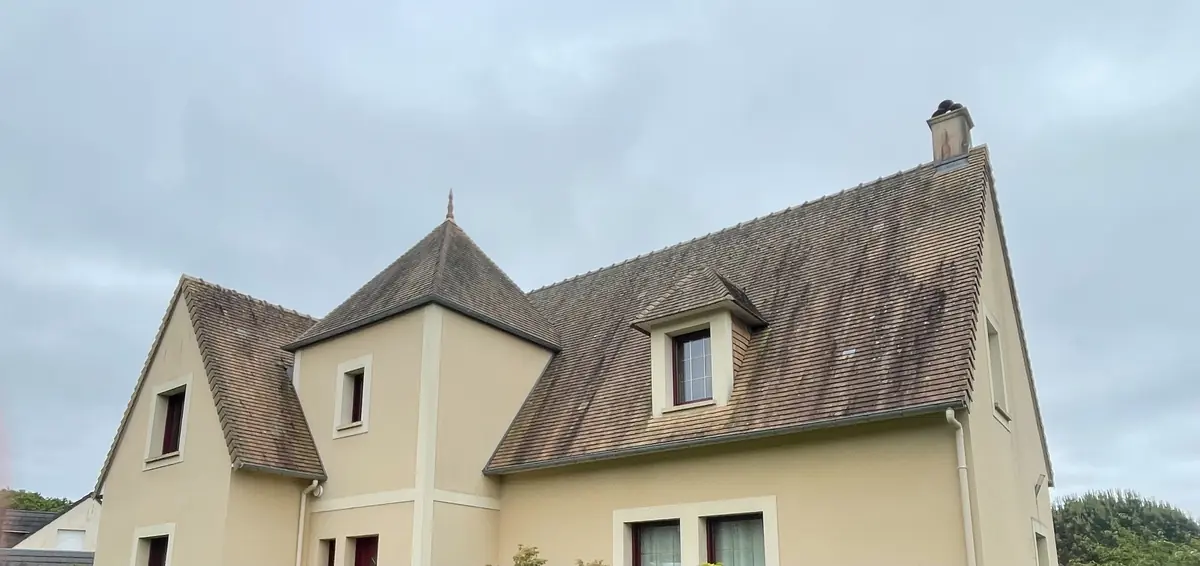Toiture tuiles envahie par la mousse avant démoussage professionnel par Normandie Nettoyage en Normandie, Calvados (14)