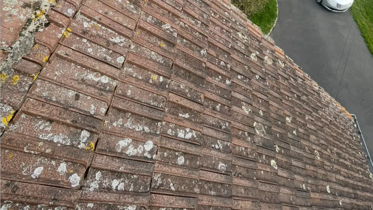 Toiture en tuiles terre cuite couverte de lichen blanc et mousse jaune dans le Calvados — avant démoussage professionnel
